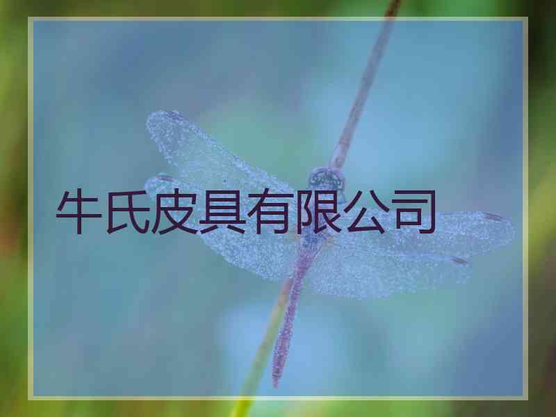 牛氏皮具有限公司