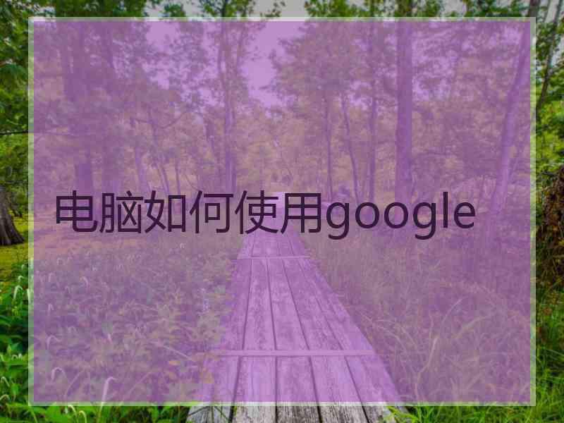 电脑如何使用google