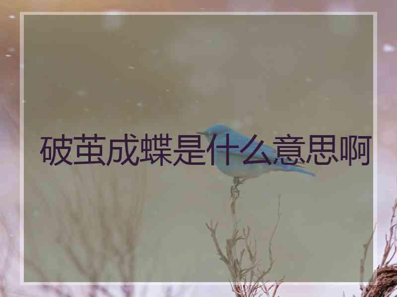 破茧成蝶是什么意思啊