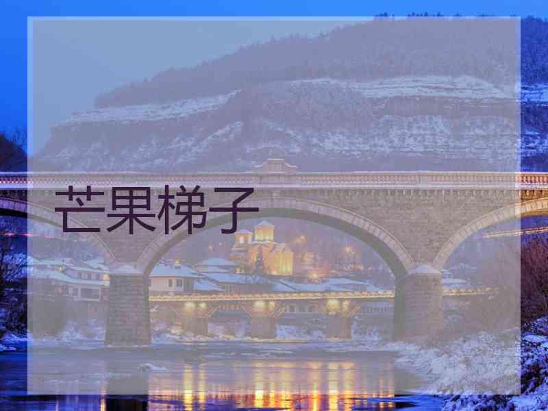 芒果梯子