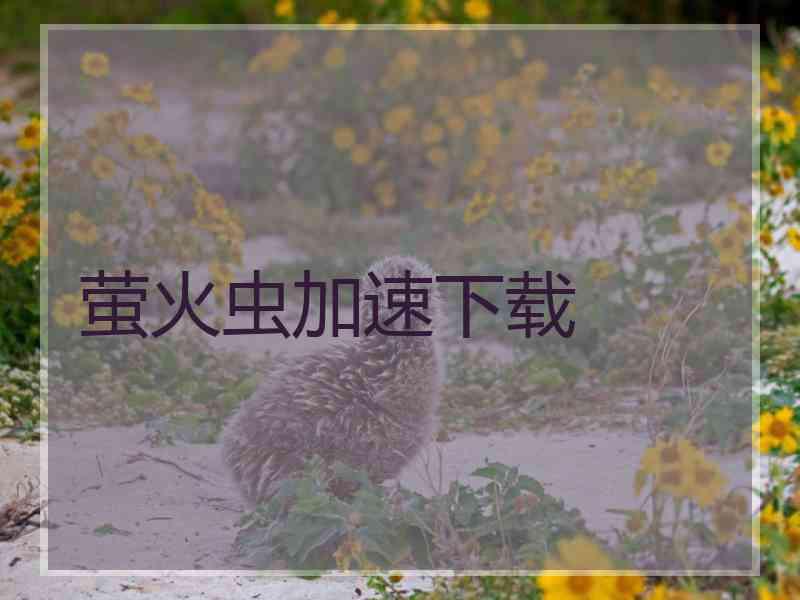 萤火虫加速下载