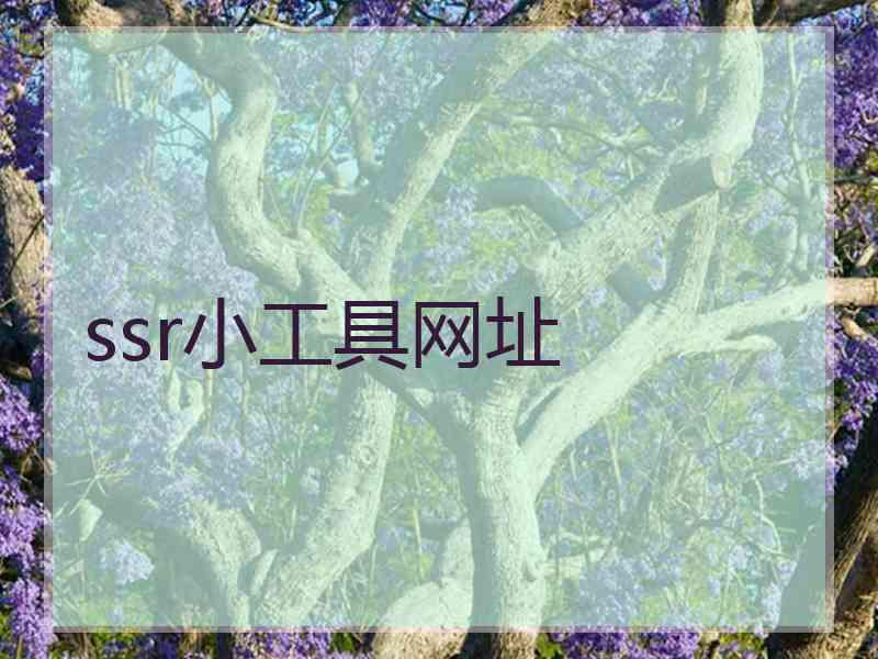 ssr小工具网址