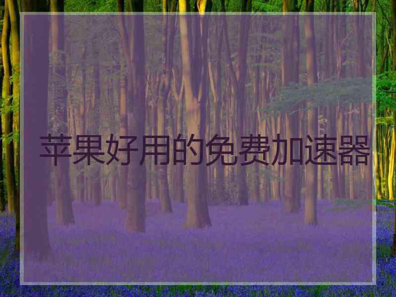 苹果好用的免费加速器