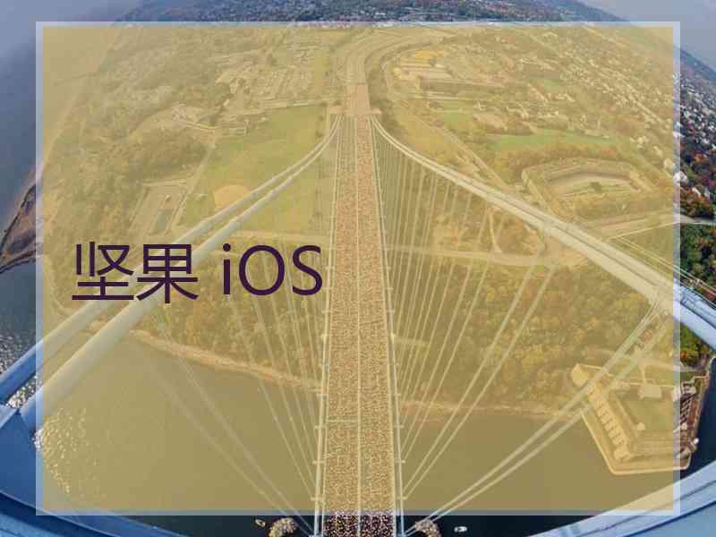 坚果 iOS