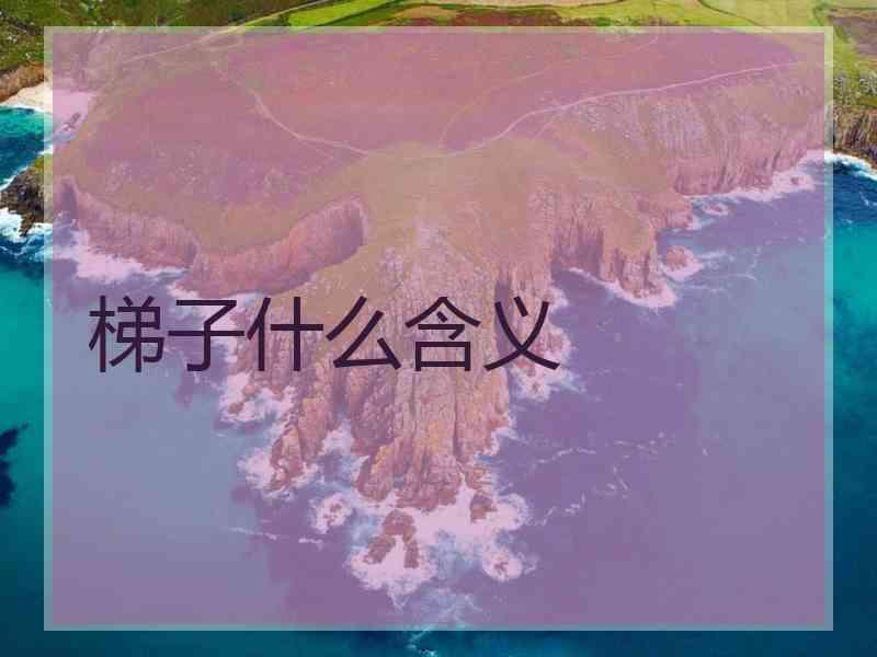 梯子什么含义