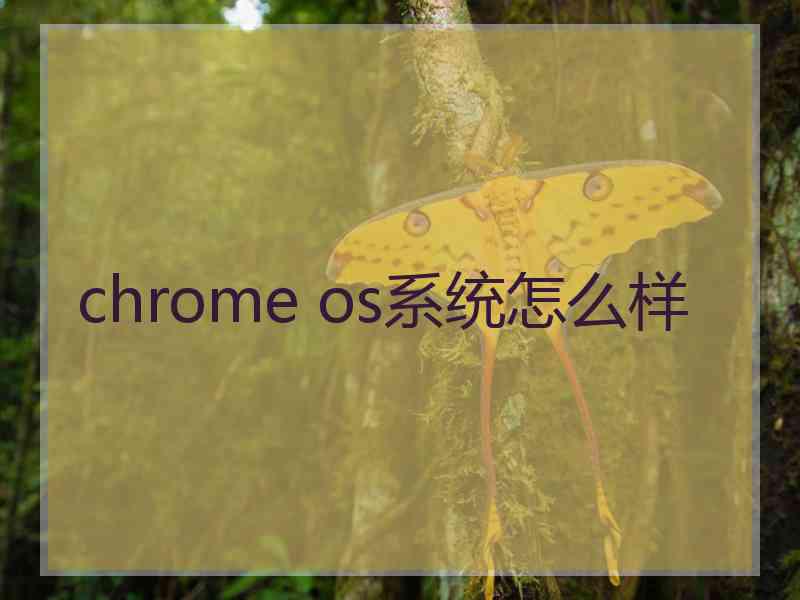 chrome os系统怎么样