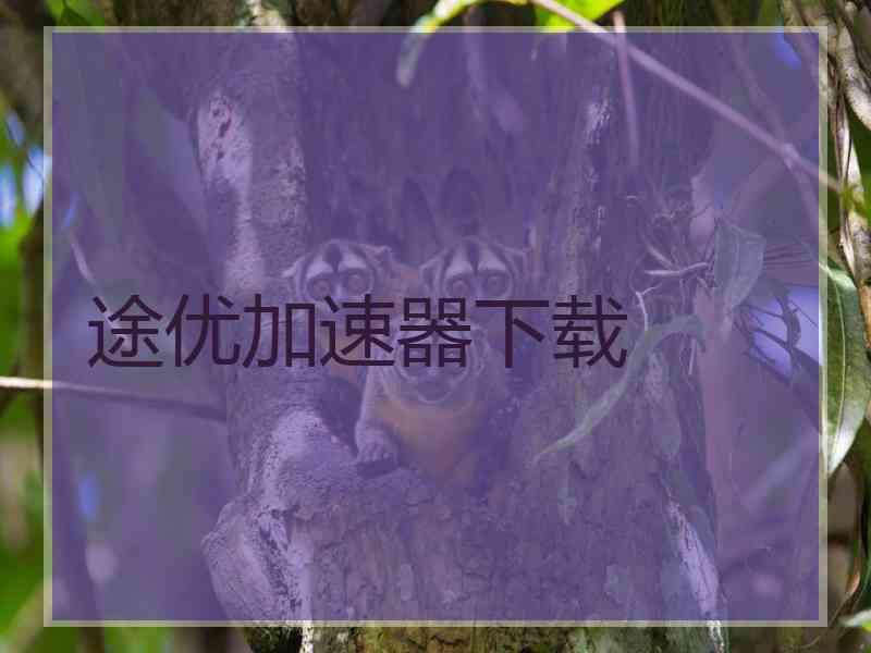 途优加速器下载