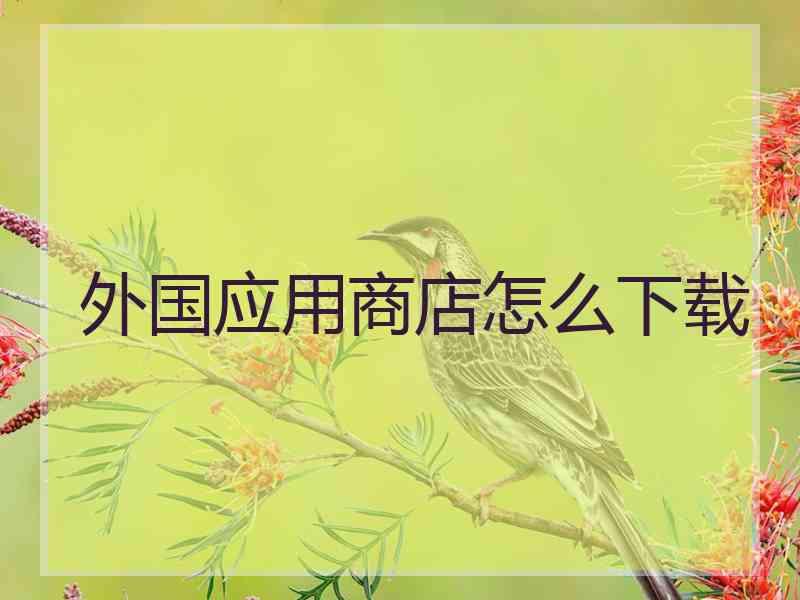 外国应用商店怎么下载
