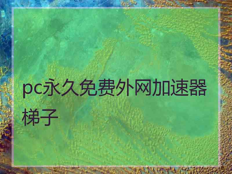 pc永久免费外网加速器梯子