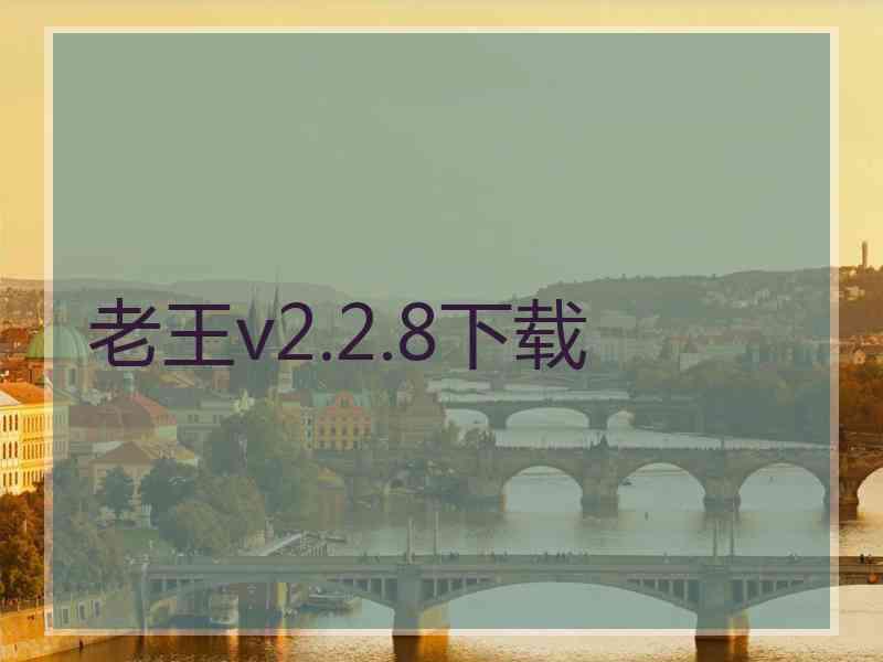 老王v2.2.8下载