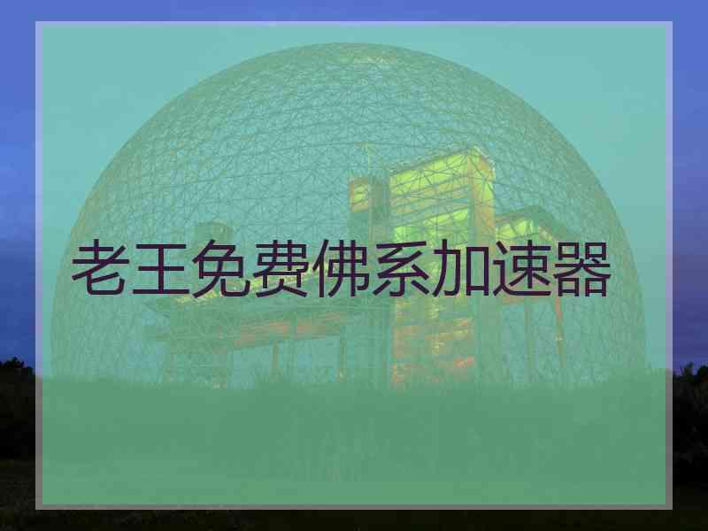 老王免费佛系加速器