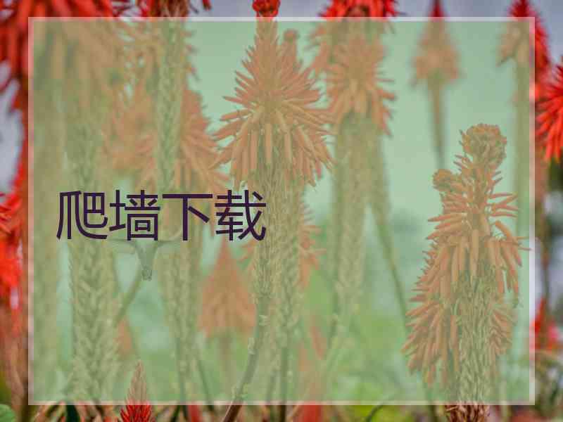 爬墙下载