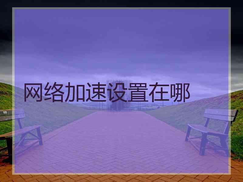 网络加速设置在哪