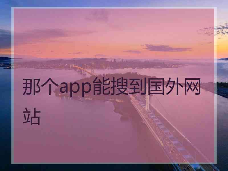 那个app能搜到国外网站