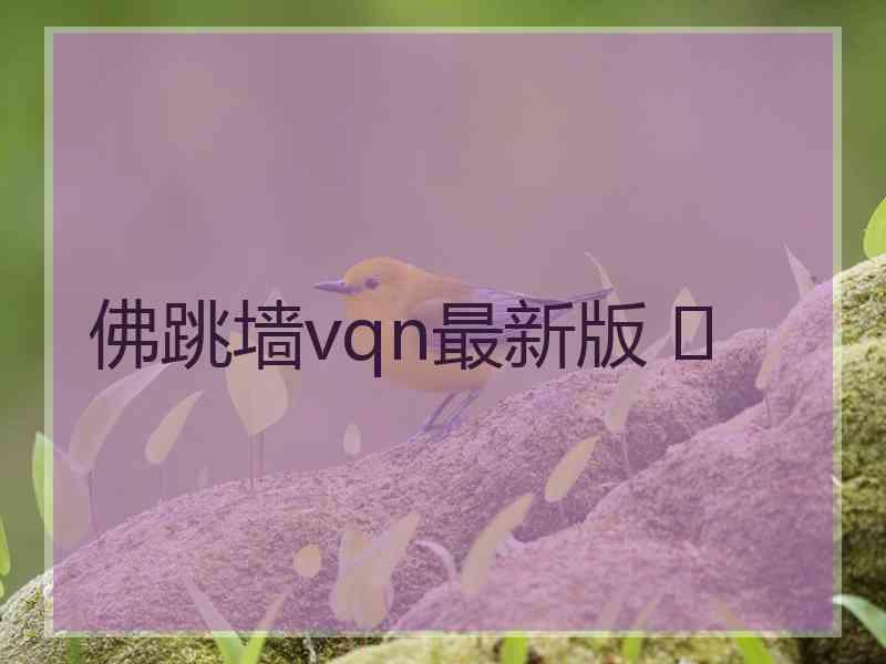 佛跳墙vqn最新版 	