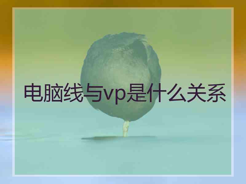 电脑线与vp是什么关系