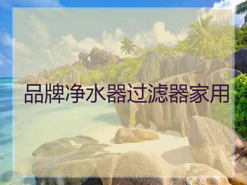 品牌净水器过滤器家用