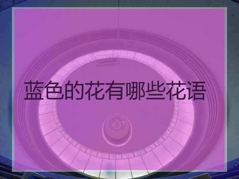 蓝色的花有哪些花语