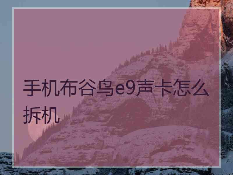 手机布谷鸟e9声卡怎么拆机