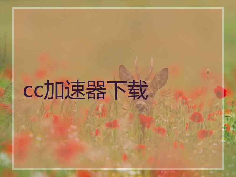 cc加速器下载