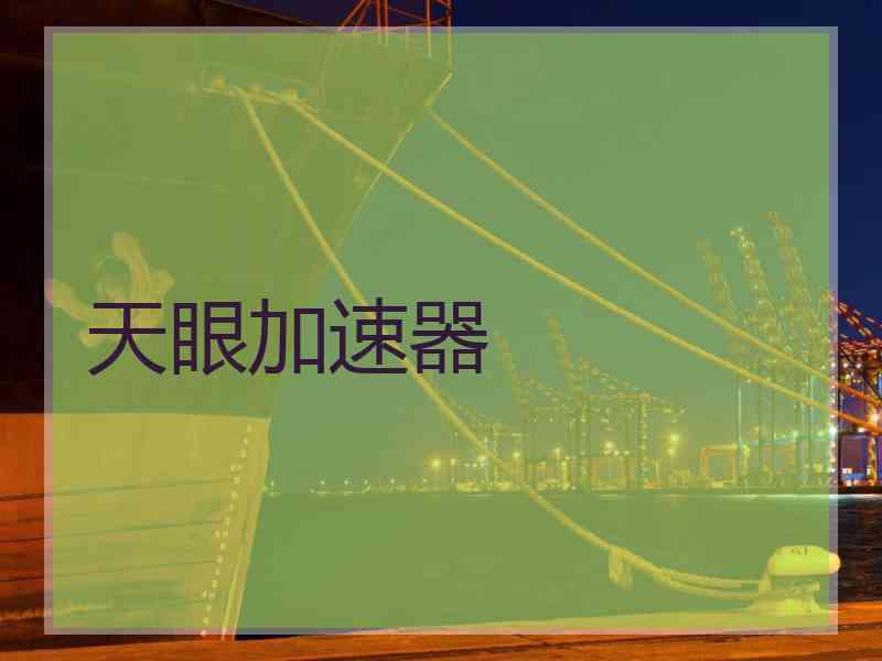 天眼加速器