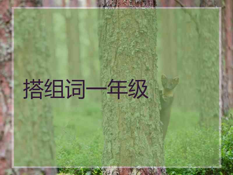 搭组词一年级