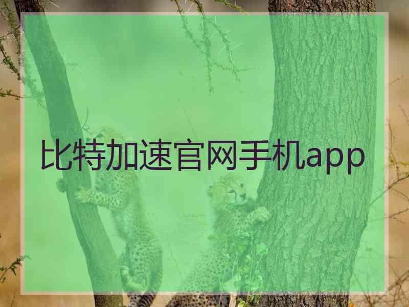 比特加速官网手机app