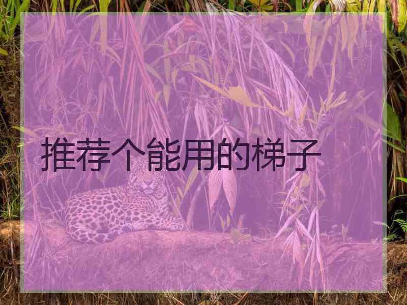 推荐个能用的梯子