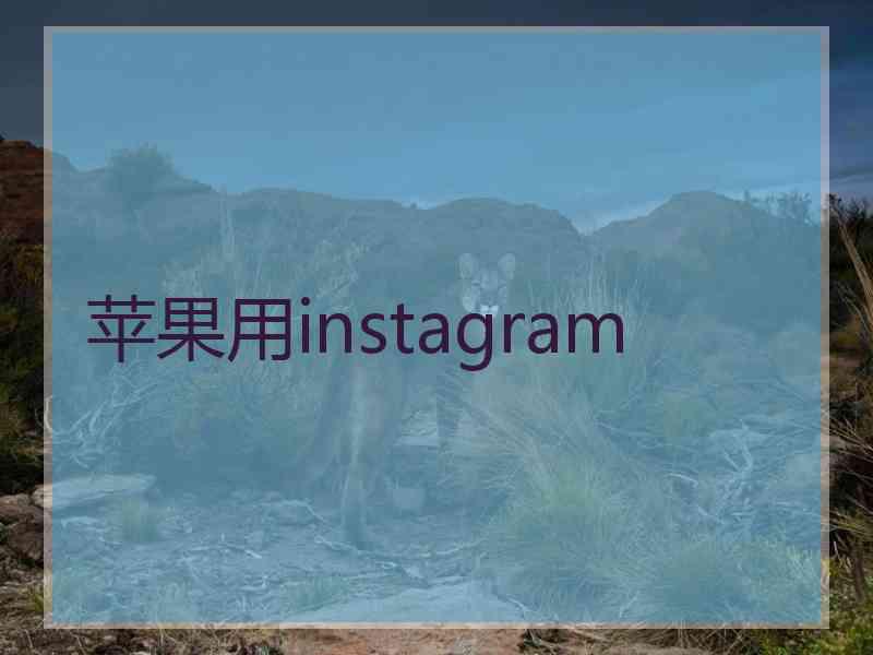 苹果用instagram