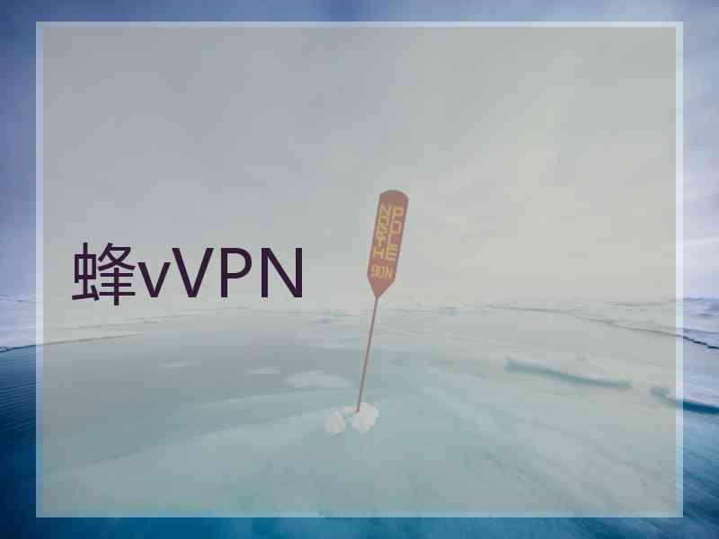 蜂vVPN