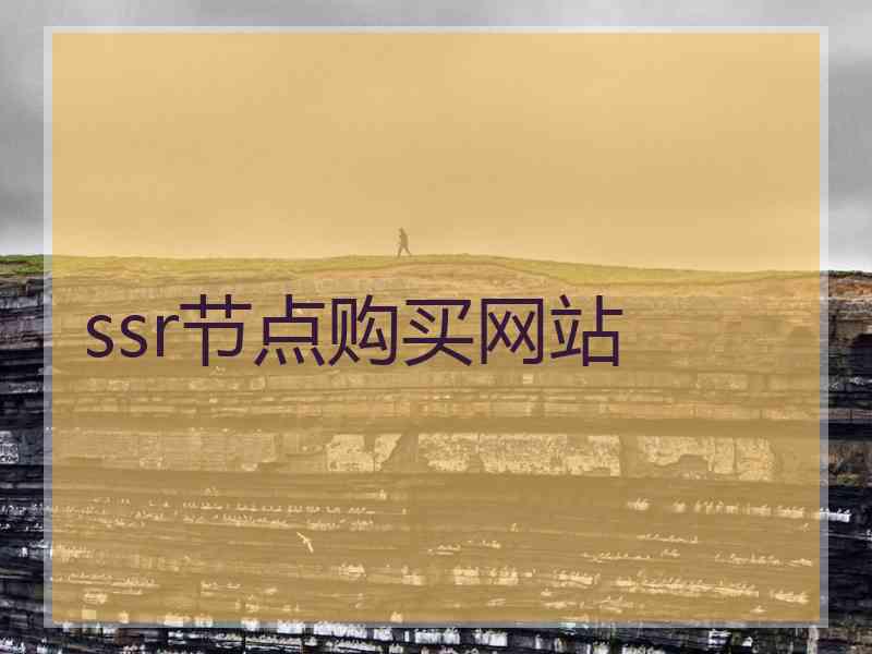 ssr节点购买网站