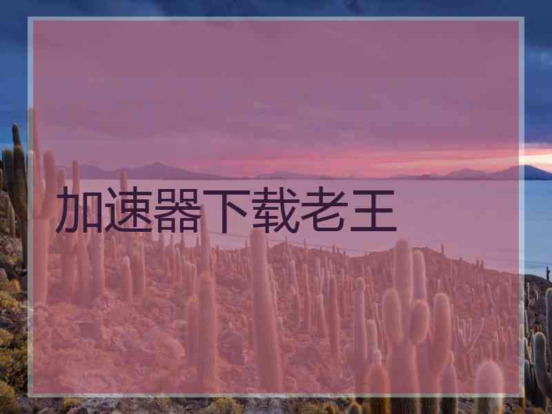 加速器下载老王