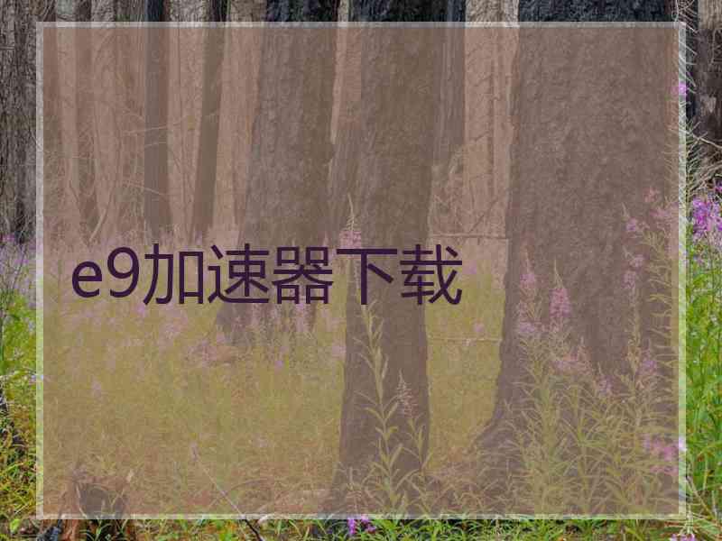 e9加速器下载