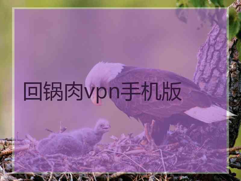 回锅肉vpn手机版