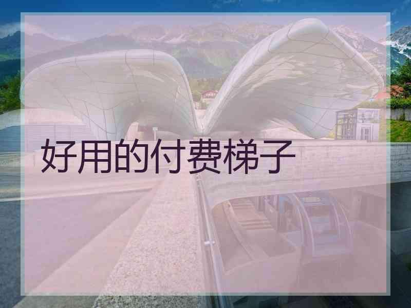 好用的付费梯子