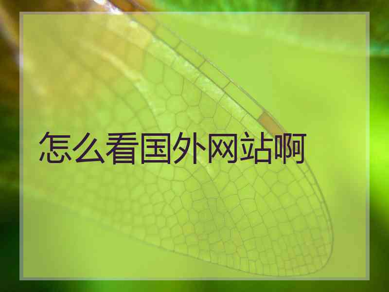 怎么看国外网站啊