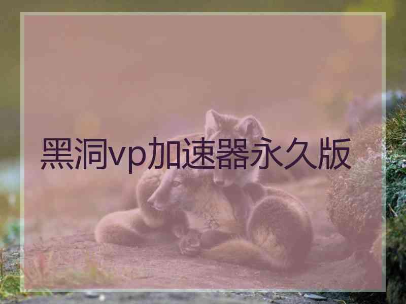 黑洞vp加速器永久版