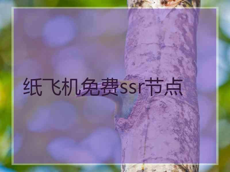 纸飞机免费ssr节点