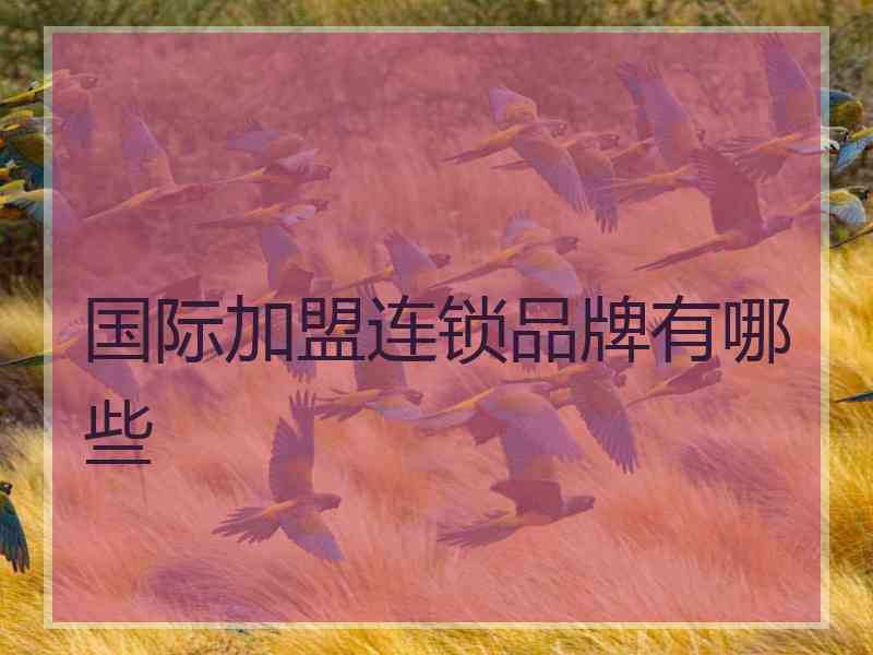 国际加盟连锁品牌有哪些