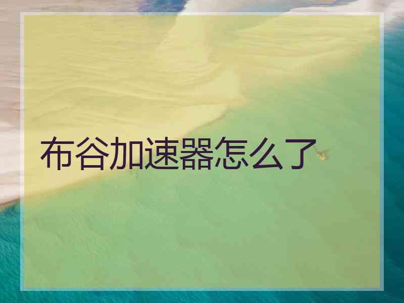布谷加速器怎么了