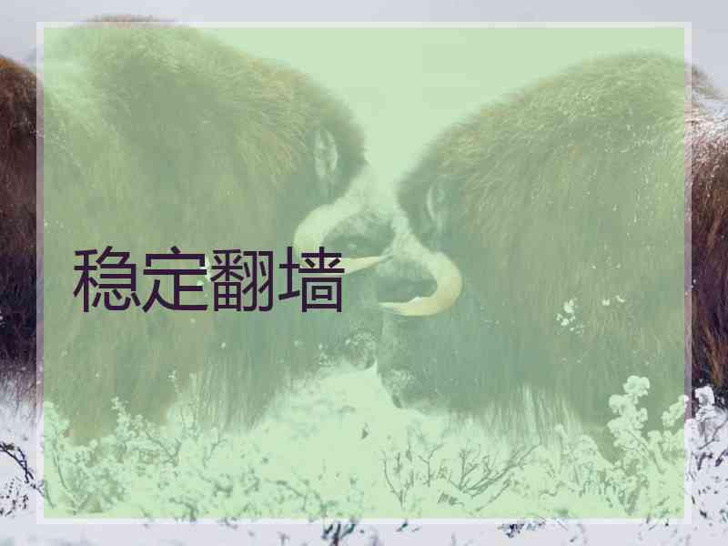 稳定翻墙