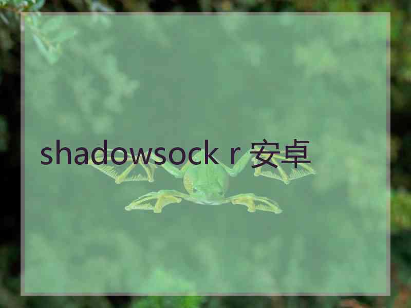 shadowsock r 安卓