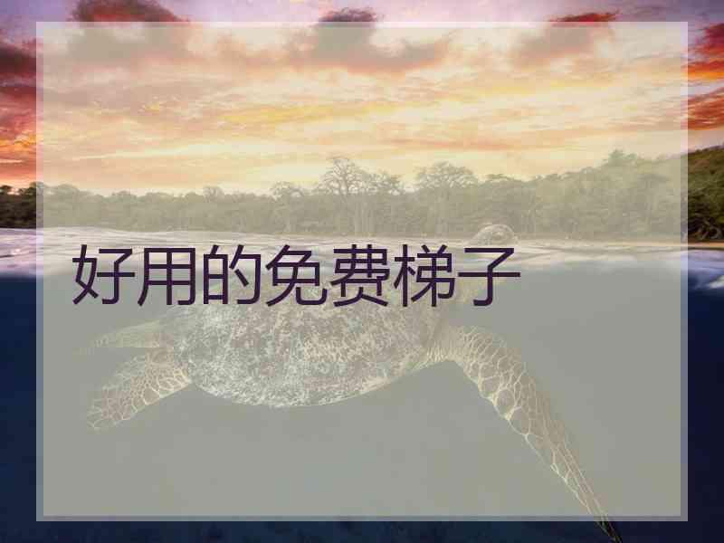 好用的免费梯子