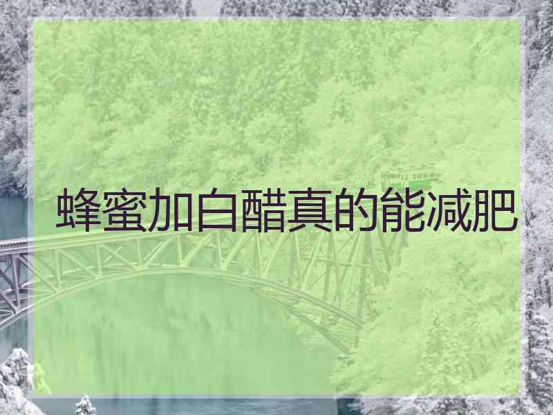 蜂蜜加白醋真的能减肥