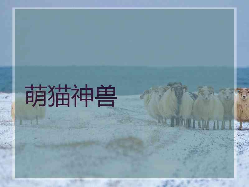萌猫神兽