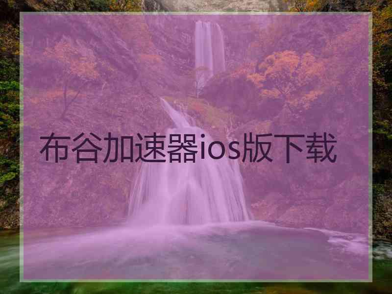 布谷加速器ios版下载