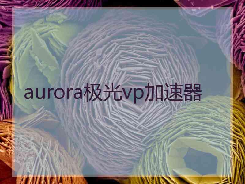 aurora极光vp加速器