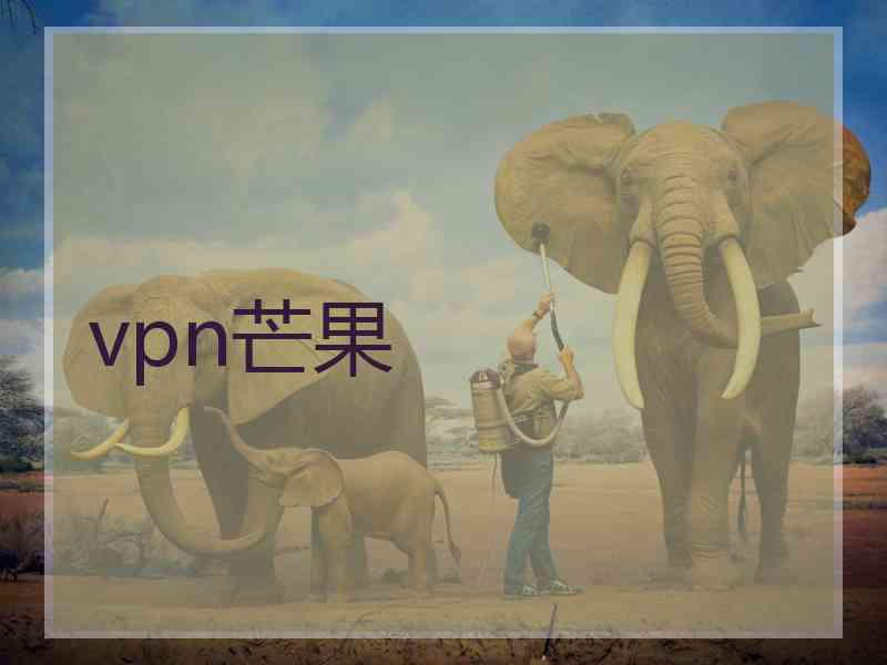 vpn芒果
