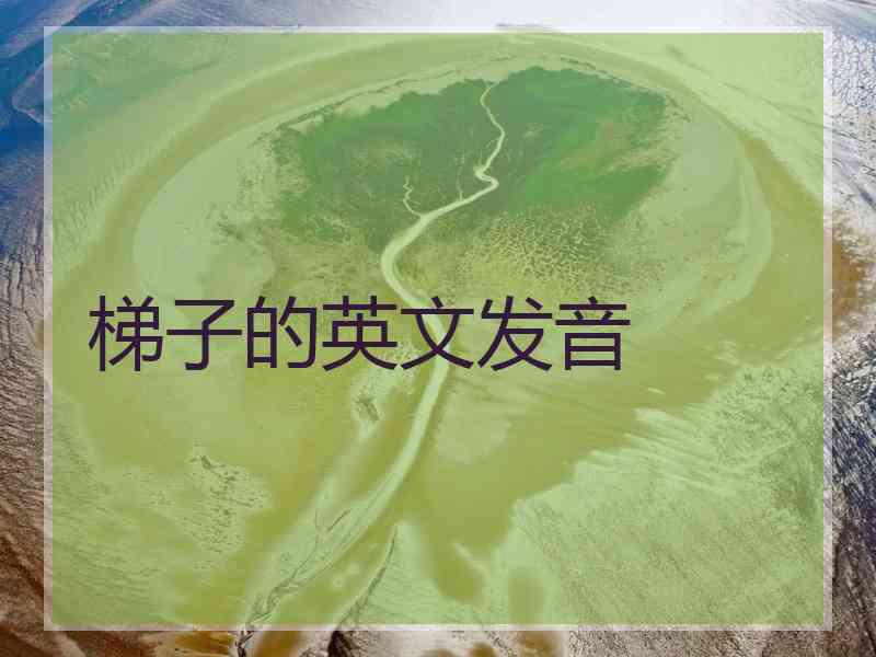 梯子的英文发音