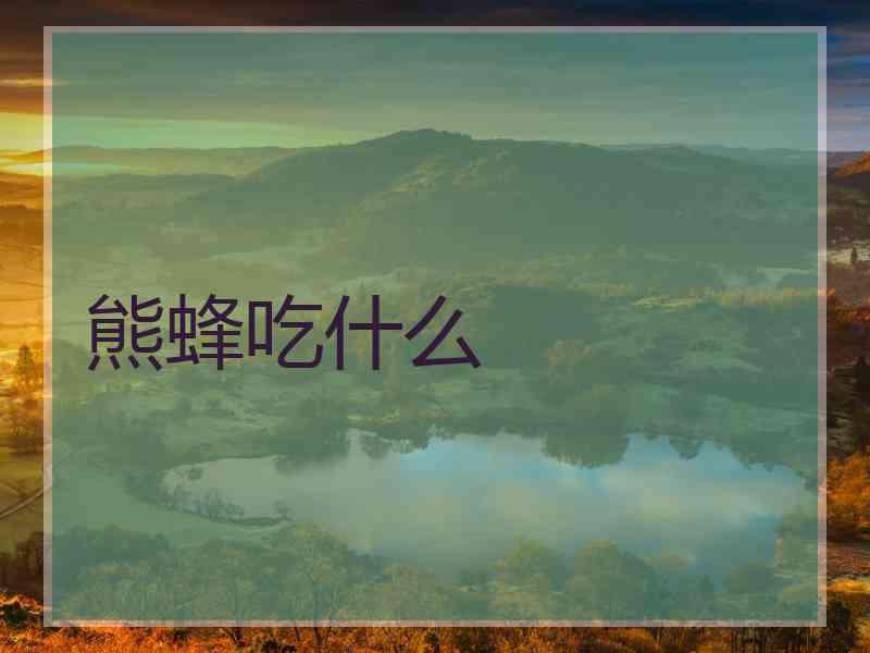 熊蜂吃什么
